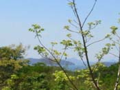 vue du golfe de nicoya